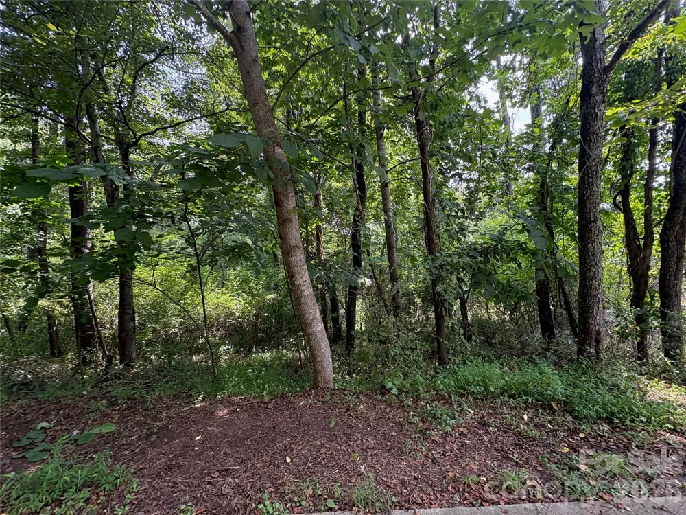 9999 Wescott Way Alexander, NC 28701