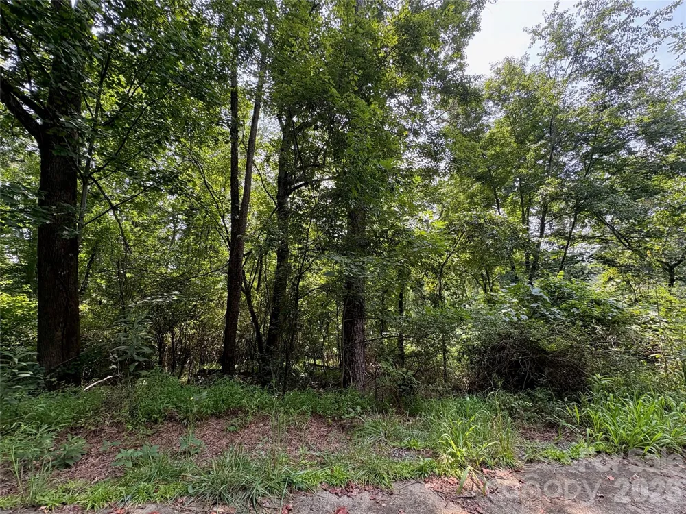 9999 Wescott Way Alexander, NC 28701