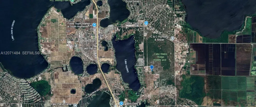 541 Carousel Lane Lake Placid, FL 33852