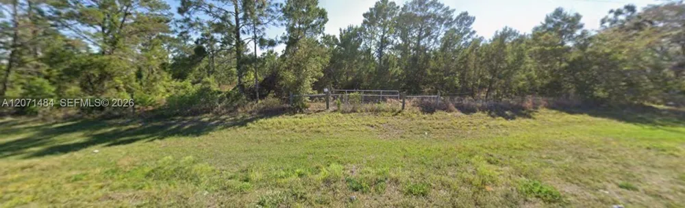 541 Carousel Lane Lake Placid, FL 33852