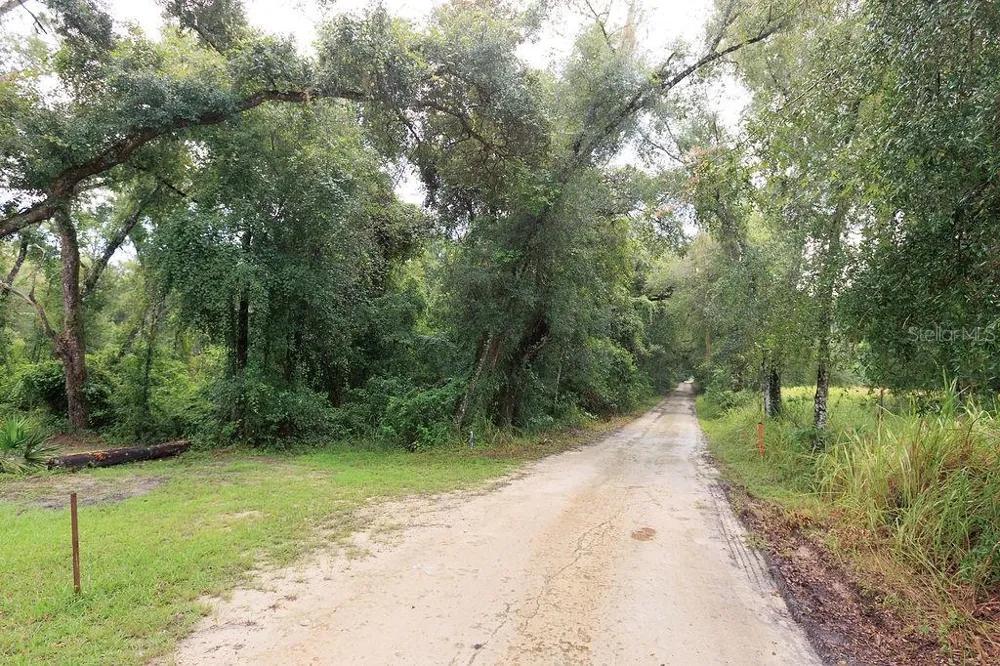 0 LUCILLES SHADY LANE Nobleton, FL 34661