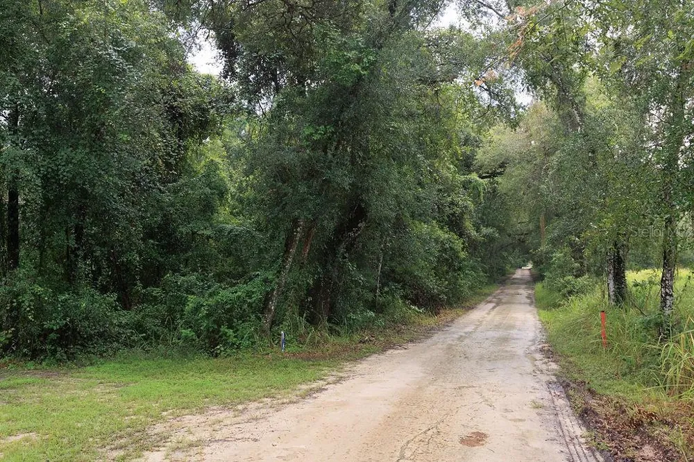 0 LUCILLES SHADY LANE Nobleton, FL 34661