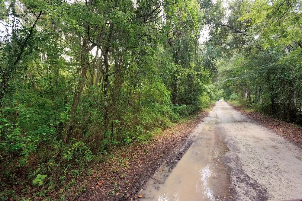 0 LUCILLES SHADY LANE Nobleton, FL 34661