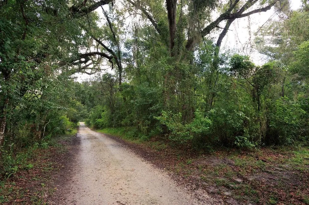 0 LUCILLES SHADY LANE Nobleton, FL 34661