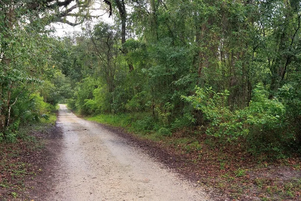 0 LUCILLES SHADY LANE Nobleton, FL 34661
