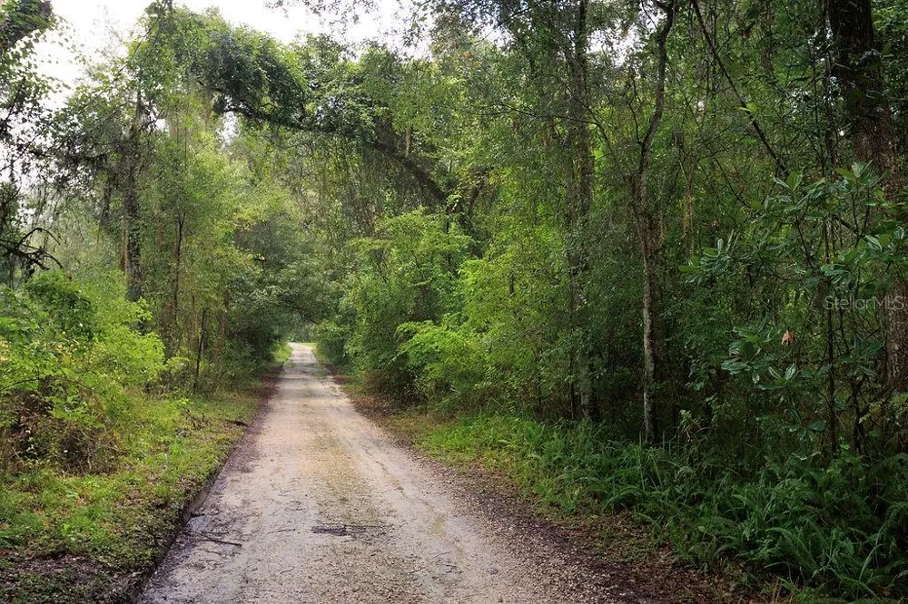 0 LUCILLES SHADY LANE Nobleton, FL 34661