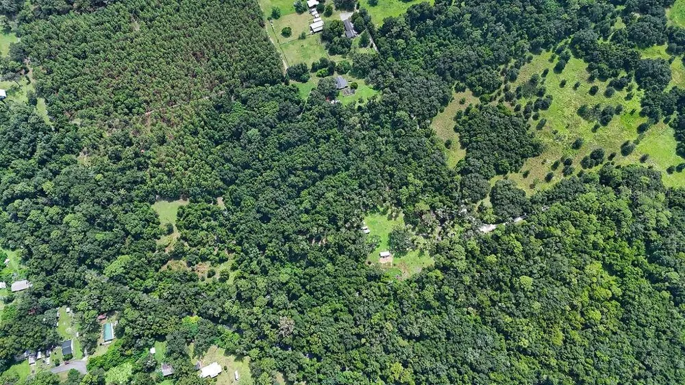 0 LUCILLES SHADY LANE Nobleton, FL 34661