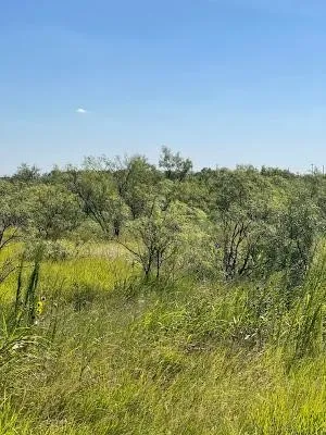 912 O D LANE Coleman, TX 76834