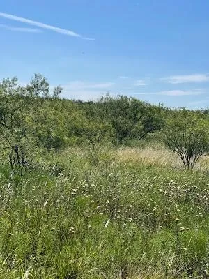 912 O D LANE Coleman, TX 76834