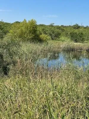 912 O D LANE Coleman, TX 76834