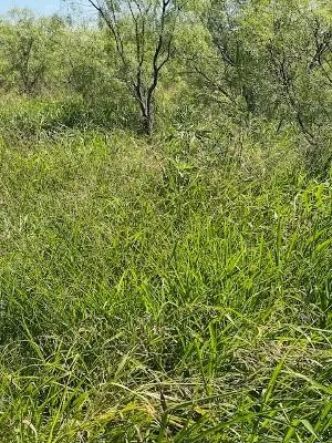 912 O D LANE Coleman, TX 76834