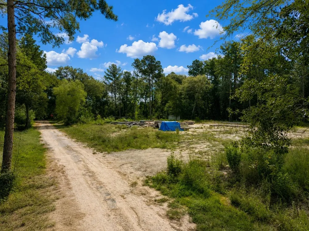 11238 Wildwood Lane Plantersville, TX 77363