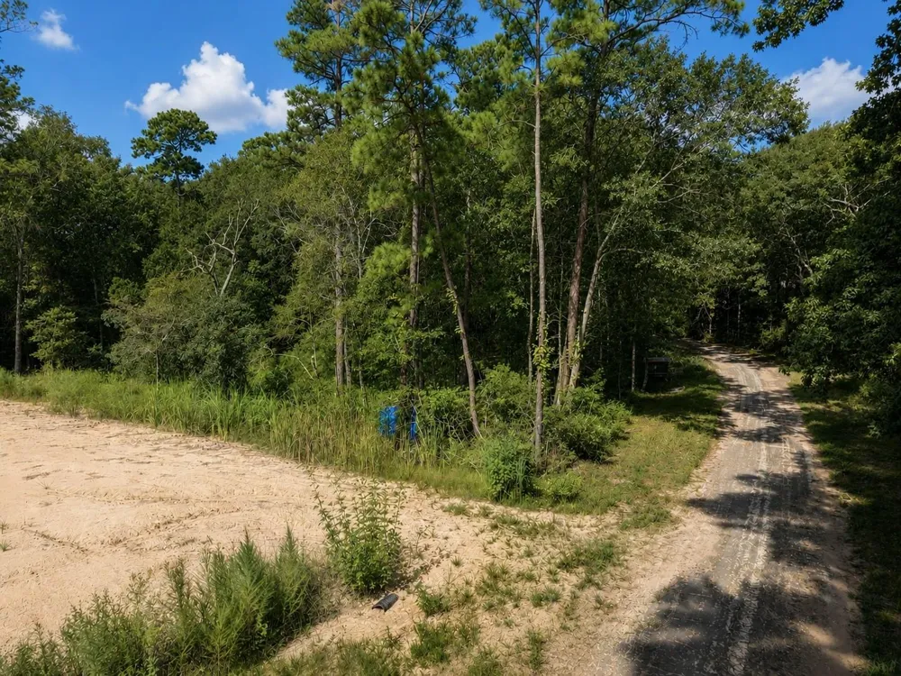16383 Largent Drive Plantersville, TX 77363