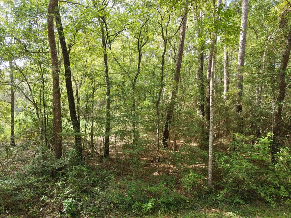 16383 Largent Drive Plantersville, TX 77363
