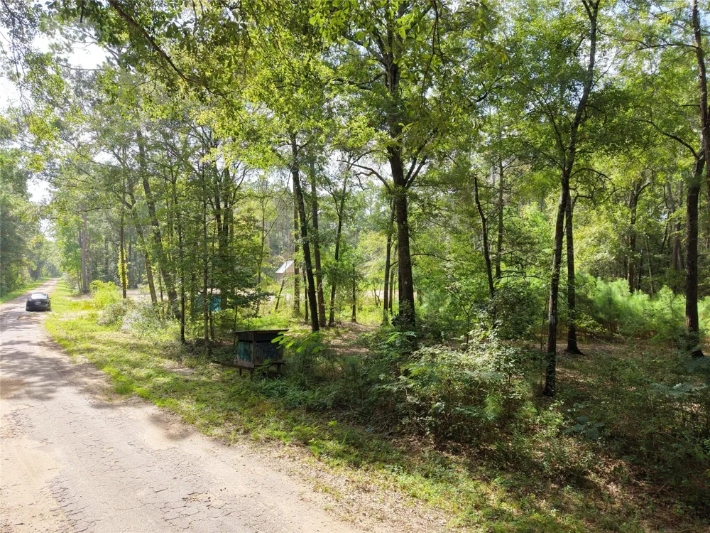 16383 Largent Drive Plantersville, TX 77363