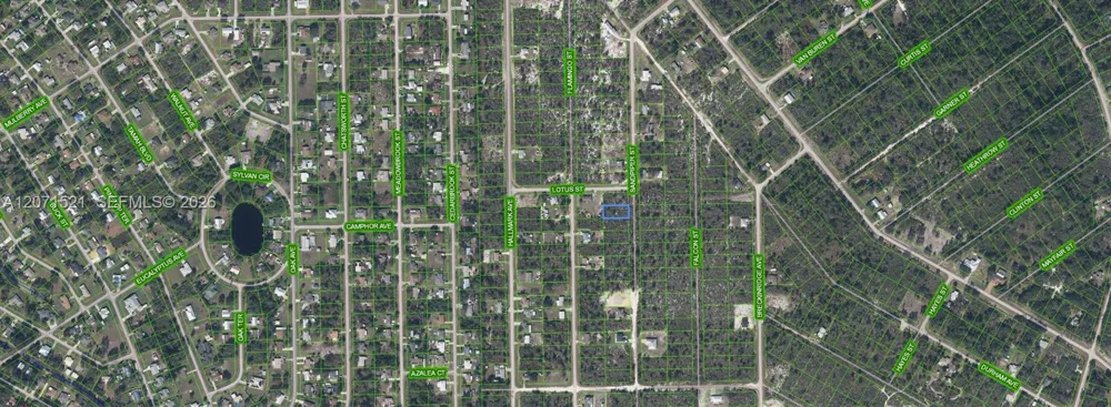 348 SANDPIPER ST Lake Placid, FL 33852