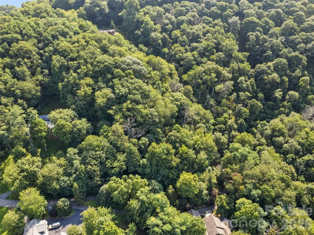 Lot #69 Twisted Trail #69 Waynesville, NC 28786