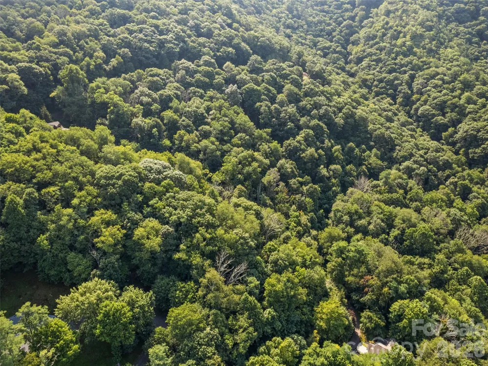 Lot #69 Twisted Trail #69 Waynesville, NC 28786