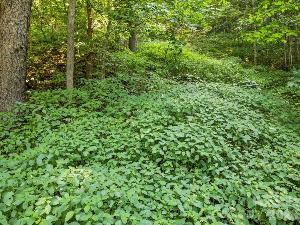 Lot #69 Twisted Trail #69 Waynesville, NC 28786