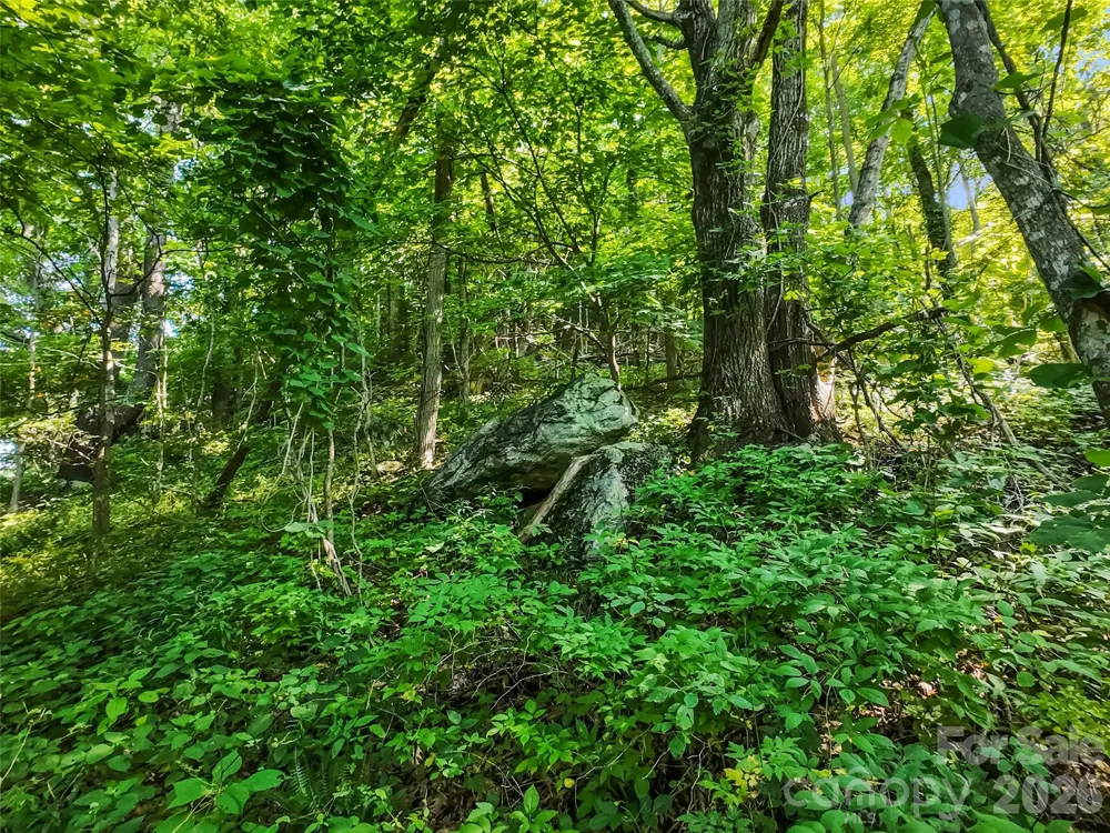 Lot #69 Twisted Trail #69 Waynesville, NC 28786
