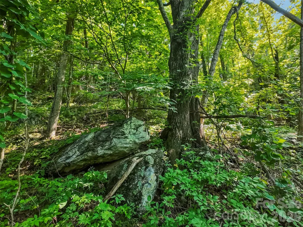 Lot #69 Twisted Trail #69 Waynesville, NC 28786