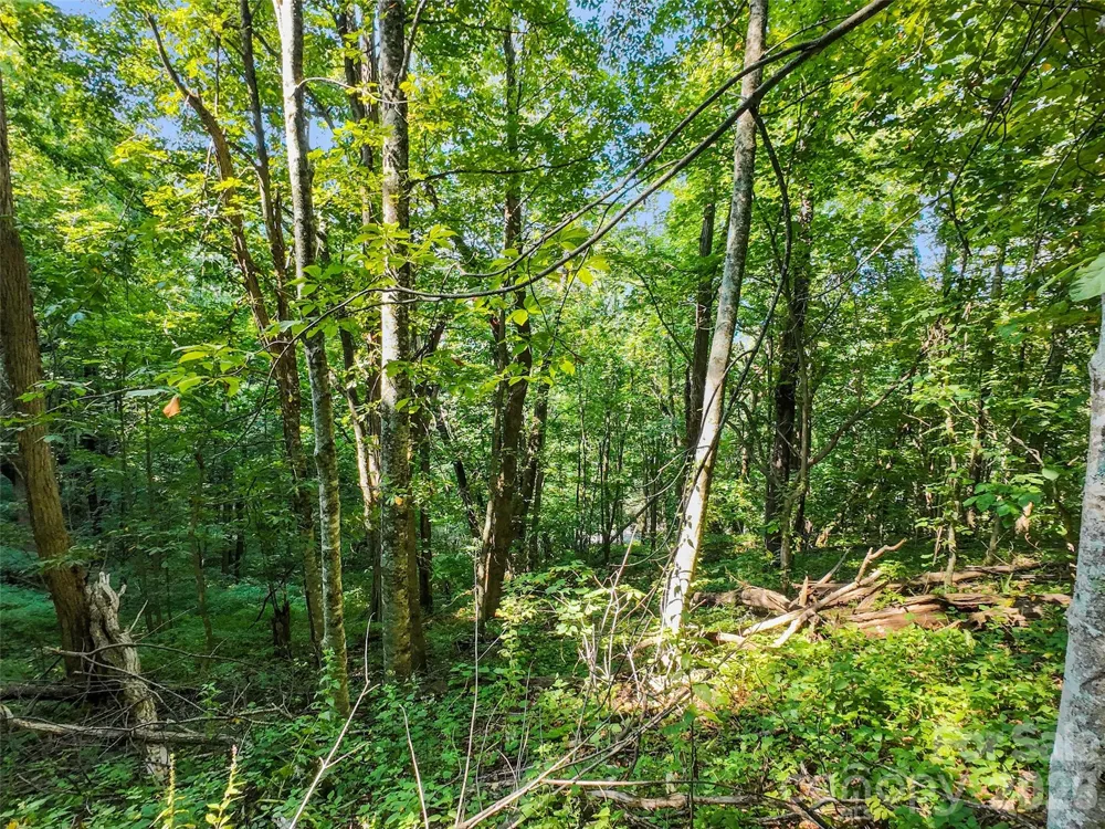 Lot #69 Twisted Trail #69 Waynesville, NC 28786