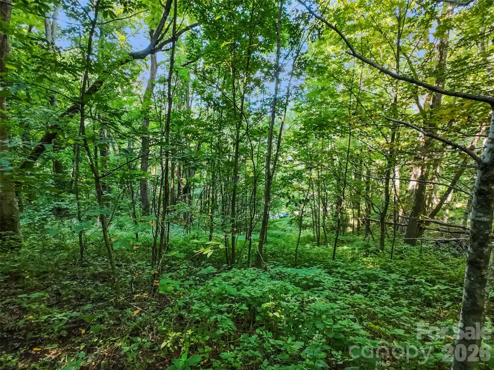 Lot #69 Twisted Trail #69 Waynesville, NC 28786
