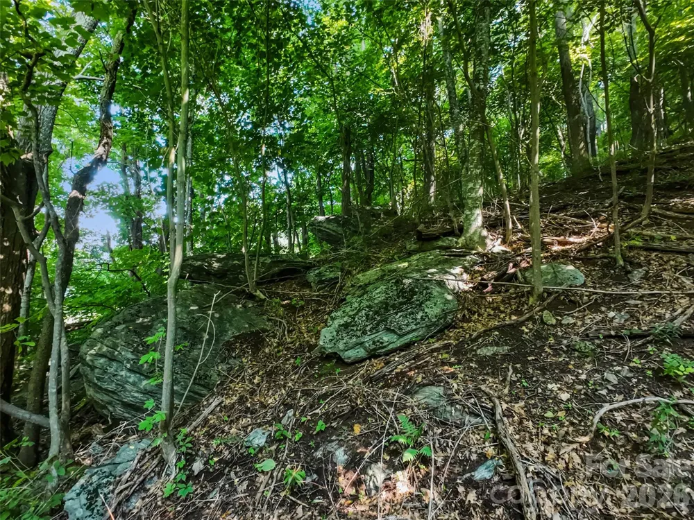 Lot #69 Twisted Trail #69 Waynesville, NC 28786