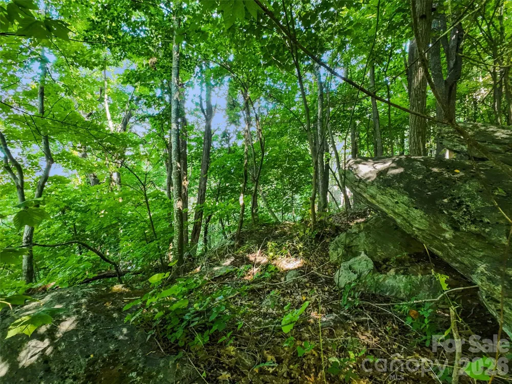 Lot #69 Twisted Trail #69 Waynesville, NC 28786
