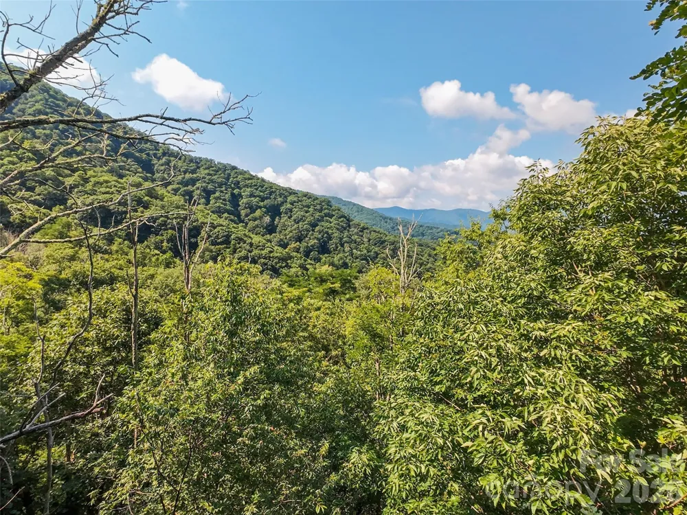 Lot #69 Twisted Trail #69 Waynesville, NC 28786
