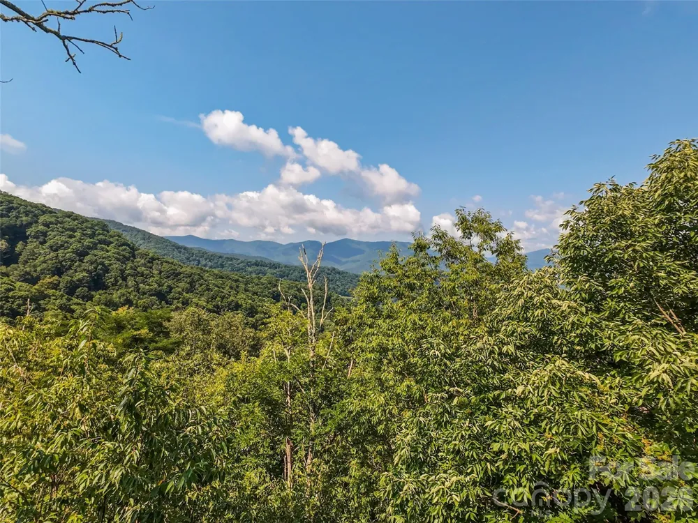 Lot #69 Twisted Trail #69 Waynesville, NC 28786