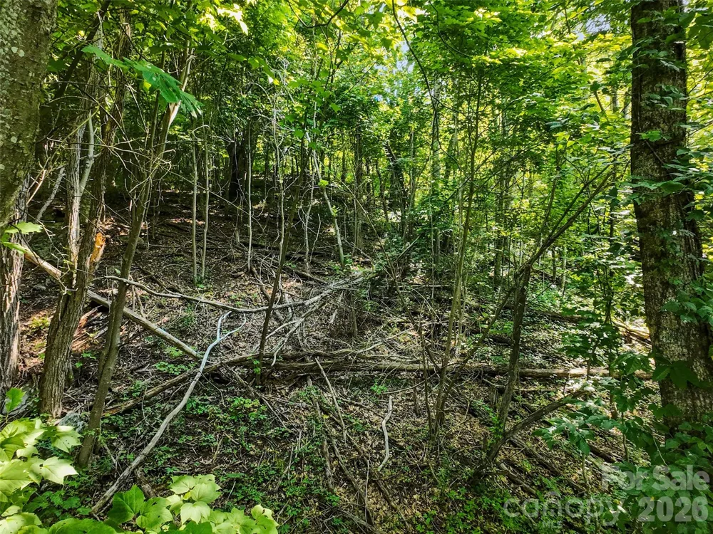 Lot #69 Twisted Trail #69 Waynesville, NC 28786