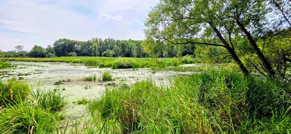 49146 Amble Avenue Stanchfield, MN 55080