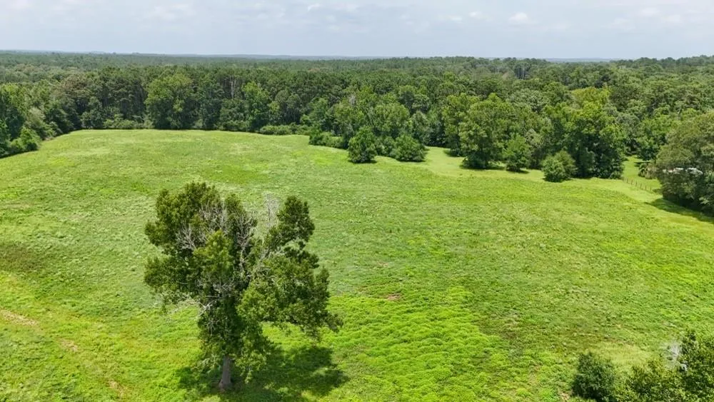 Cr 2780 Colmesneil, TX 75938