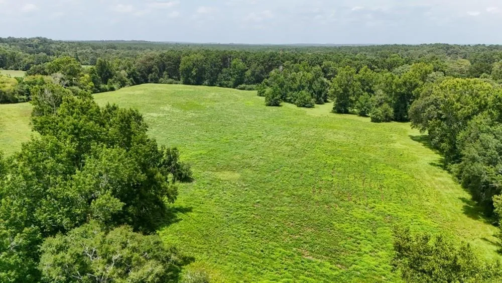 Cr 2780 Colmesneil, TX 75938