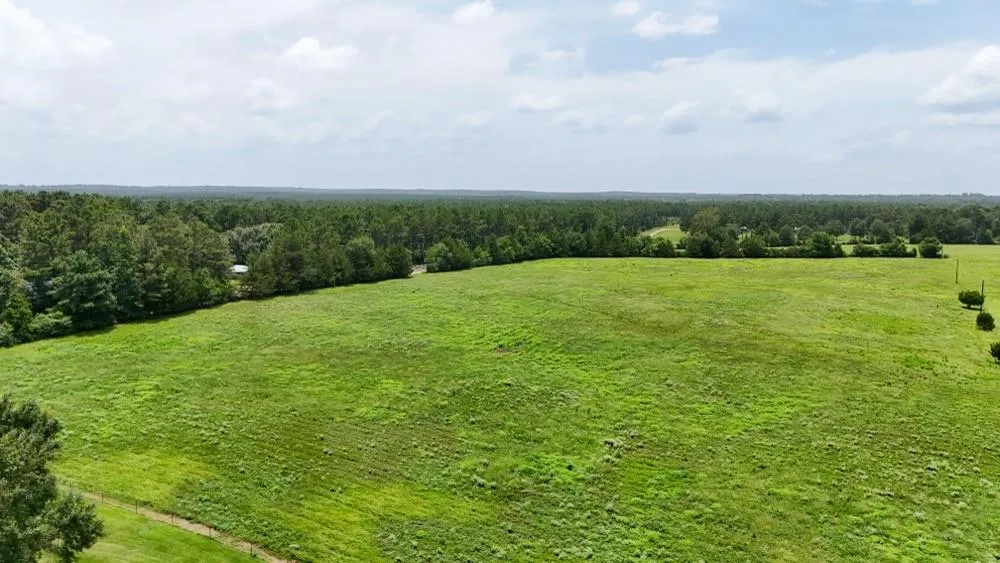 Cr 2780 Colmesneil, TX 75938