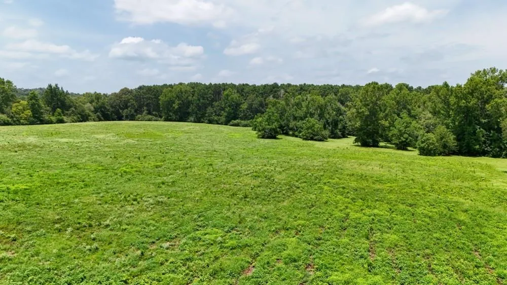 Cr 2780 Colmesneil, TX 75938