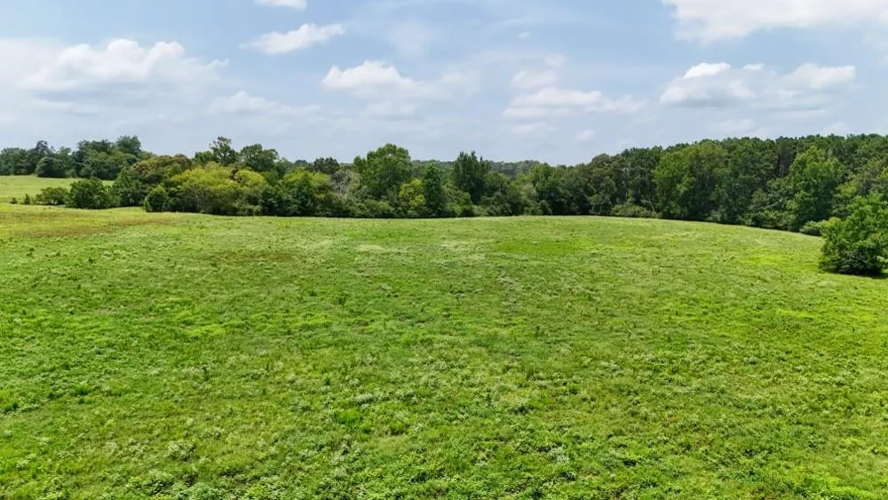 Cr 2780 Colmesneil, TX 75938