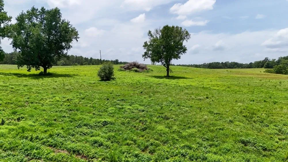 Cr 2780 Colmesneil, TX 75938