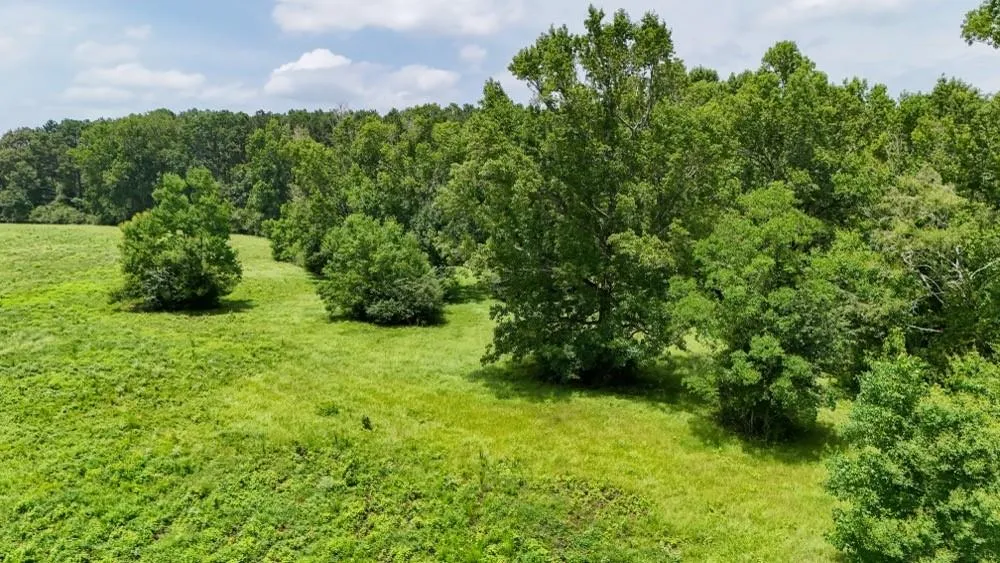 Cr 2780 Colmesneil, TX 75938