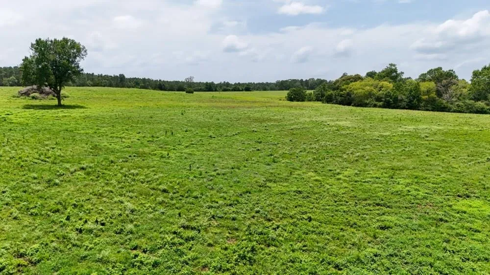 Cr 2780 Colmesneil, TX 75938