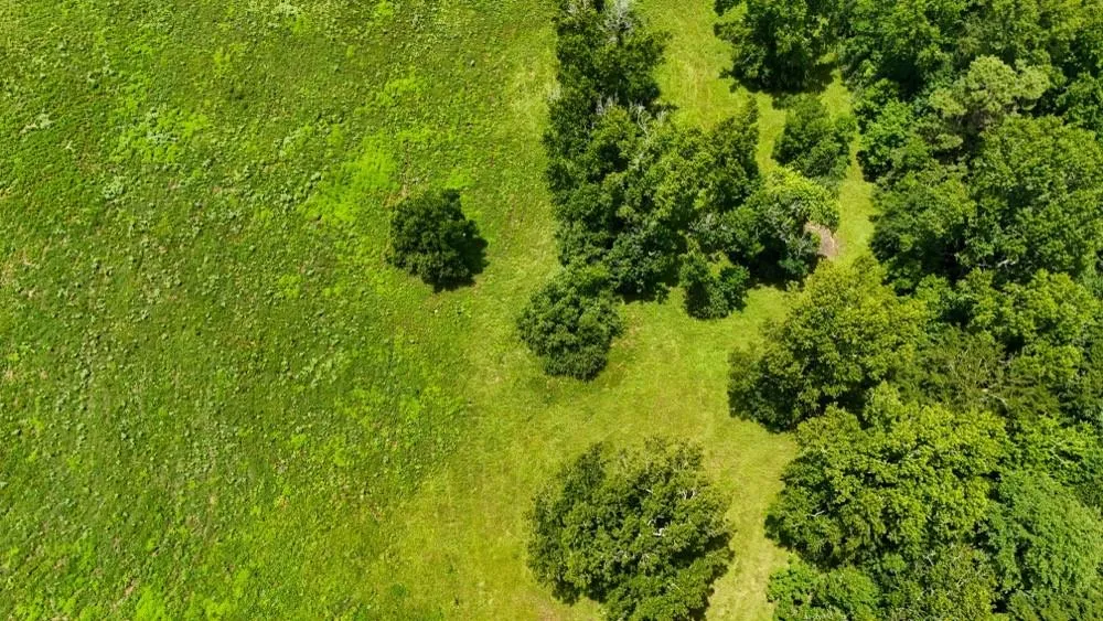 Cr 2780 Colmesneil, TX 75938