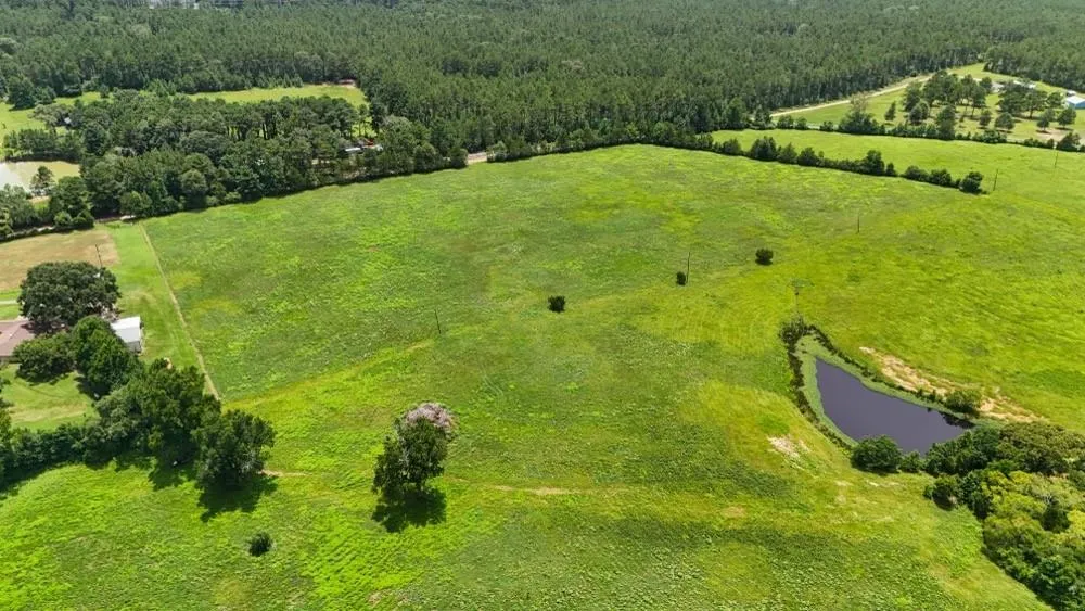 Cr 2780 Colmesneil, TX 75938