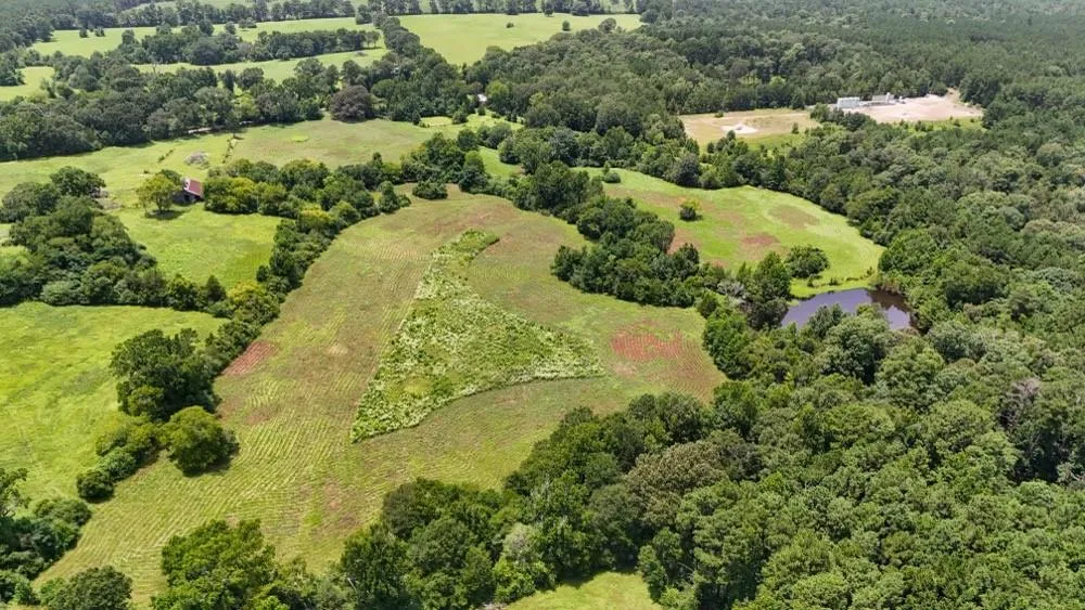 Cr 2780 Colmesneil, TX 75938