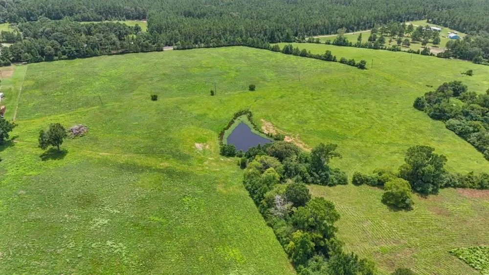 Cr 2780 Colmesneil, TX 75938