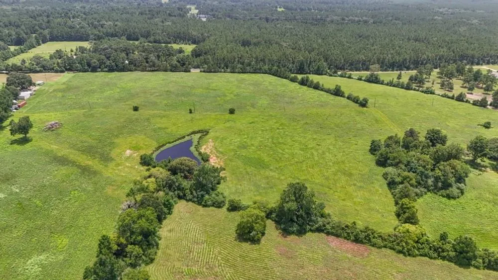 Cr 2780 Colmesneil, TX 75938