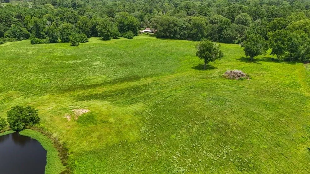 Cr 2780 Colmesneil, TX 75938