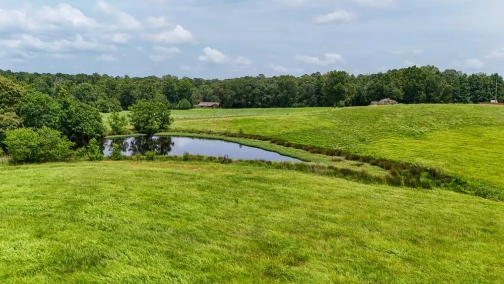 Cr 2780 Colmesneil, TX 75938