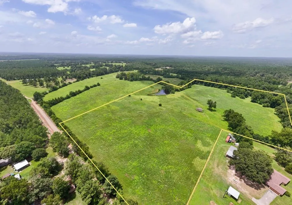 Cr 2780 Colmesneil, TX 75938