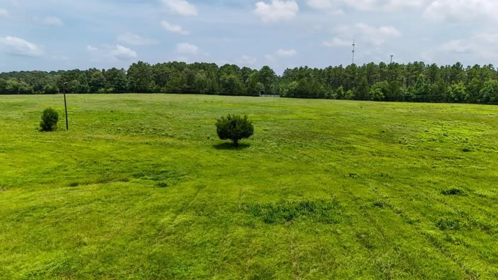 Cr 2780 Colmesneil, TX 75938